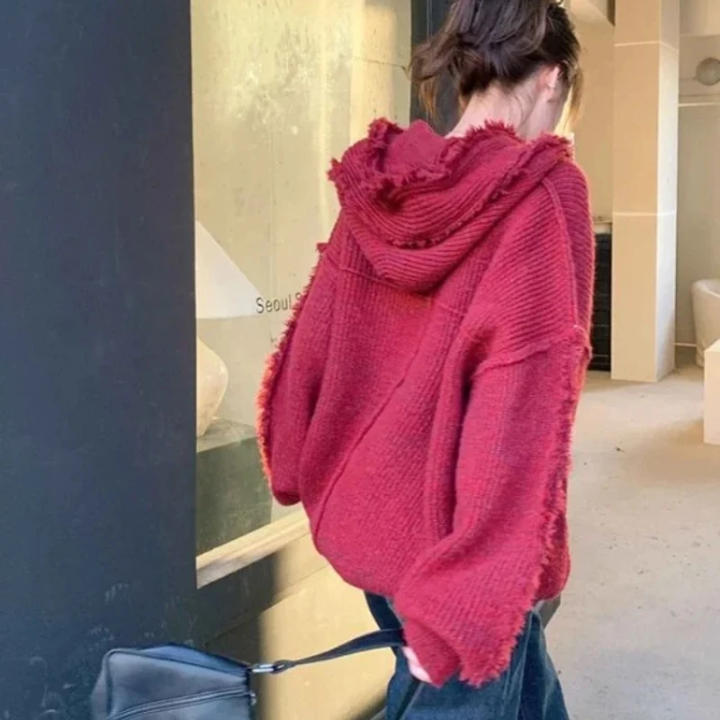 Autumn and Winter Thick Hoodie - Winter Clothing Essentials For Women avaliação e preço