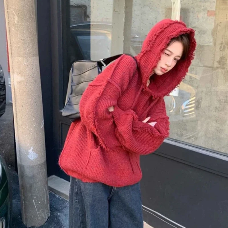 Autumn and Winter Thick Hoodie - Winter Clothing Essentials For Women avaliação e preço