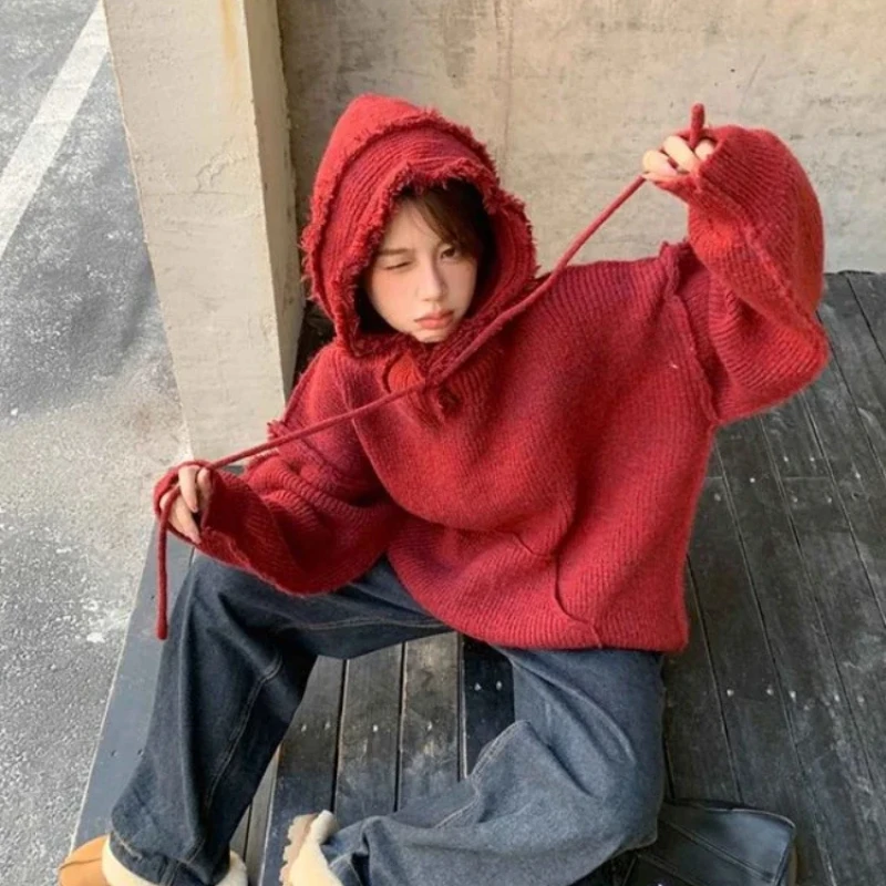 Autumn and Winter Thick Hoodie - Winter Clothing Essentials For Women avaliação e preço